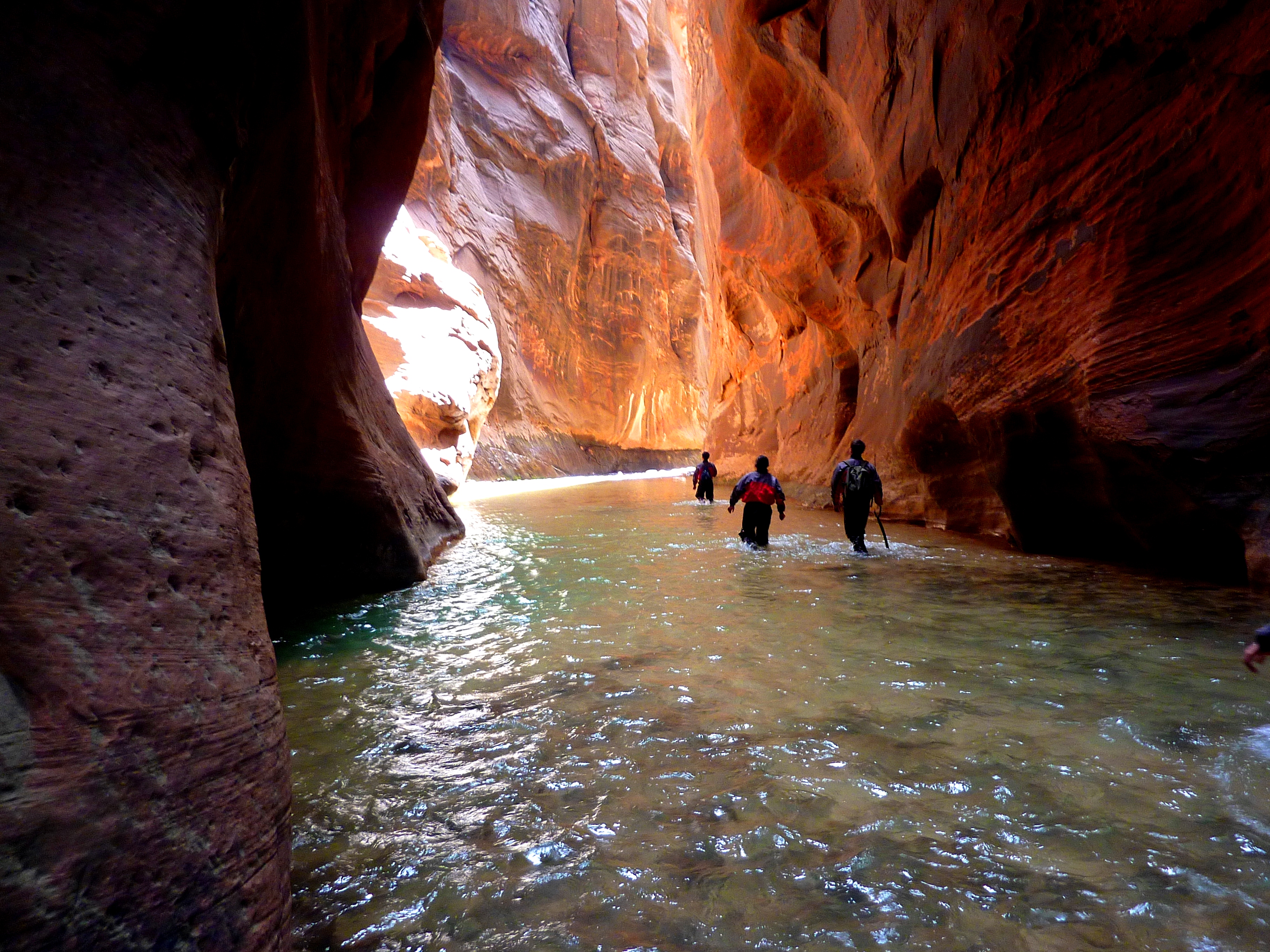 Randonnée les pieds dans l'eau dans The Narrows (Zion)